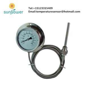 WTZ WTY 280 High quality stainless steel capillary remote reading liquid capillaty thermometer