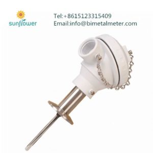 pt100 rtd sensor special explosion-proof thermal resistance thermometer
