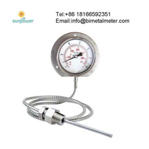 WTY WTZ-280 stainless steel capillary pressure type thermometer with silicon oil filled